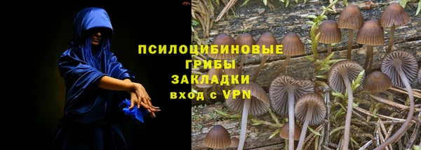 ПСИЛОЦИБИНОВЫЕ ГРИБЫ Волоколамск
