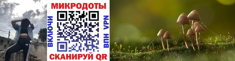 Псилоцибиновые грибы мухоморы  Печора 